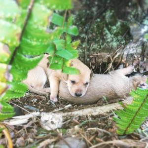 10325201_1591390574465087_3967222953881740513_n