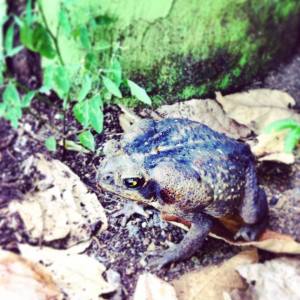 11008510_1556480747956070_1800813789639126994_n