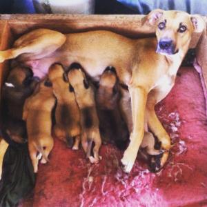 11013147_1587149808222497_428741210251714604_n