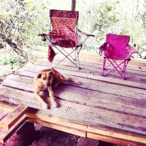 11077958_1556481207956024_3671730385547682832_n