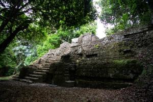 11329794_1577159119221566_1150511244175121349_n