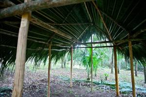 11391210_1579380412332770_1012323050634160297_n