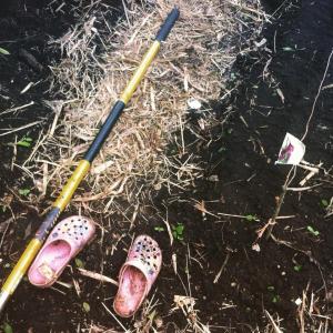 11403420_1587150028222475_3170730477504861464_n