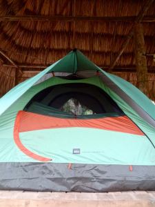 11406866_1579629825641162_6827062937571025359_n