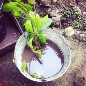 11541002_1587150008222477_7589994070838354825_n